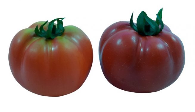 Dark Red Artificial Tomato 7cm