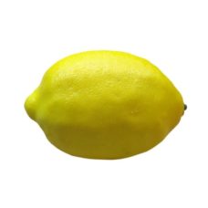 art lemon front view