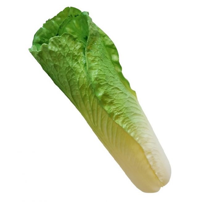 Counterfeit Chinese Cabbage