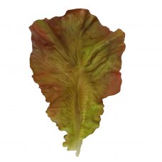 fake red lettuce leaves 6 pcs