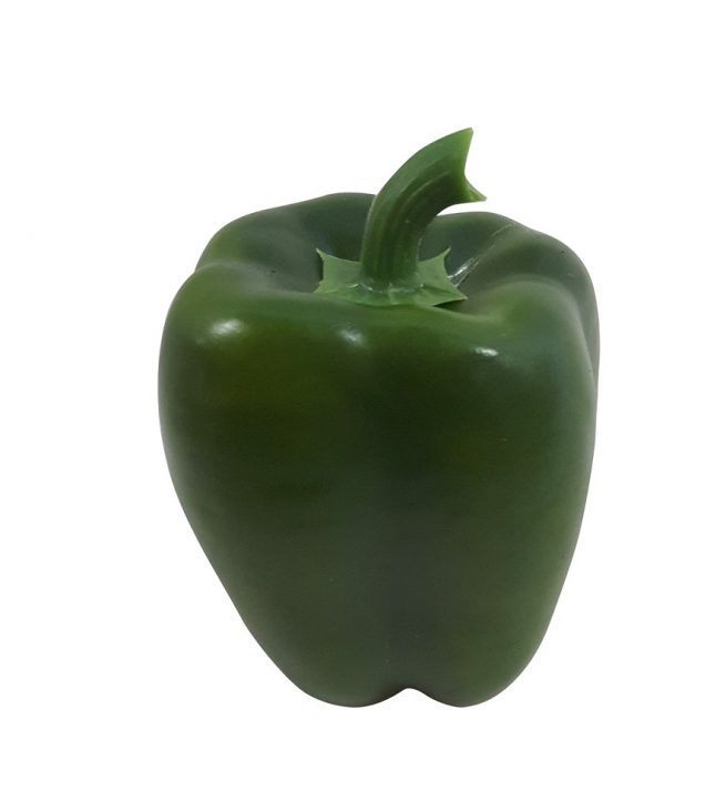 Green Counterfeit Pepper 10cm