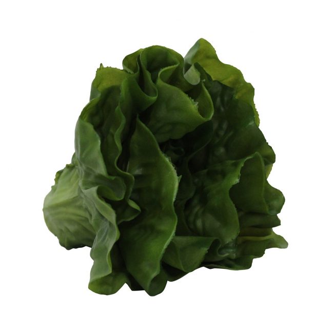 Green Fake Head Of Lettuce