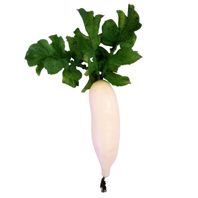 long white fake radish 12cm
