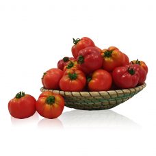 Counterfeit Tomato