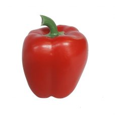 Red Counterfeit Pepper 10cm