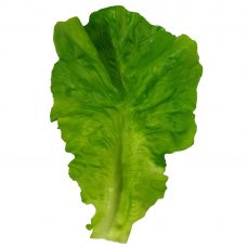 fake green lettuce leaves 6 pcs