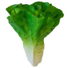 fake head of lettuce