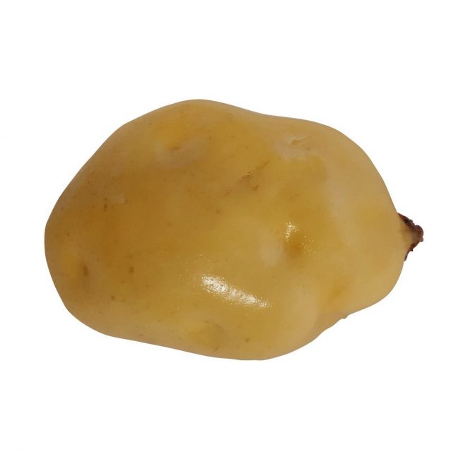 Gefälschte Kartoffel