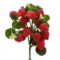 Gefälschte Erdbeerpflanze