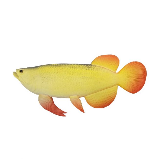 Exotic Art Ornamental Fish Orange Yellow