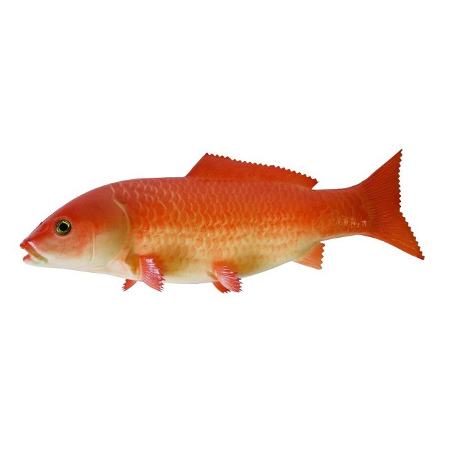Fake Goldfish