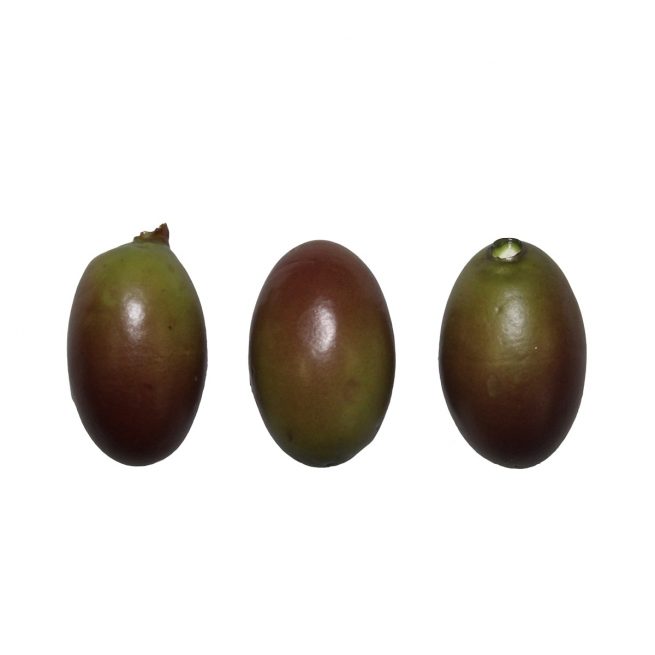 3 gefälschte Oliven