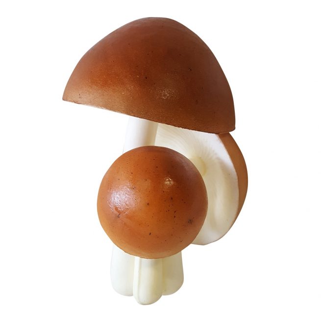 Green Fake Mushroom Set