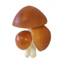 Brown Fake Mushroom Set