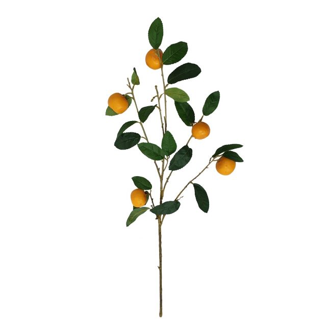 Frucht-Zweig-Kunst-Orangen