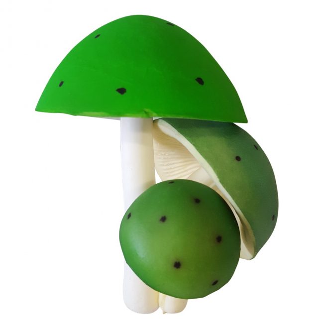 Grünes gefälschtes Pilz-Set