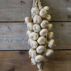 Fake Garlic Strict Atmosphere Photo