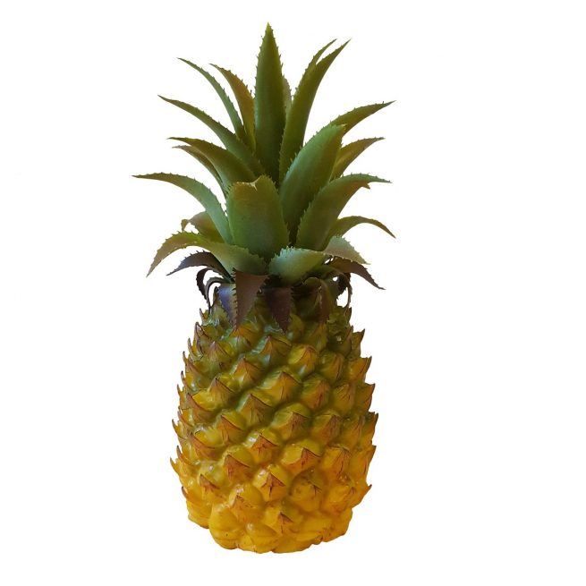 Fake Pineapple Small