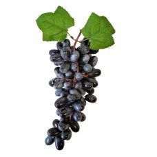 Gefälschte Weintraube blau groß