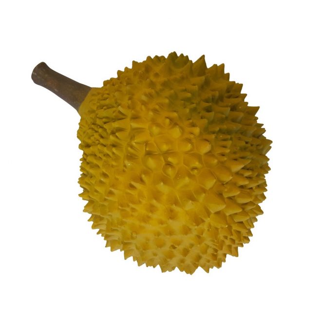 Falscher Durian