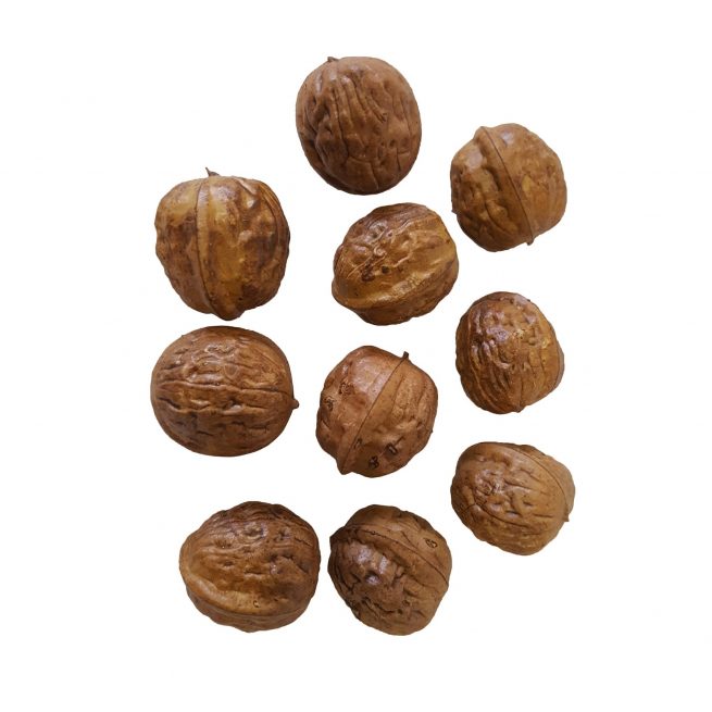 set of 10 counterfeit walnuts