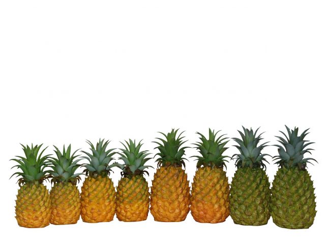 Gruppenfoto Gefälschte Ananas