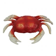 Gefälschte Krabbe