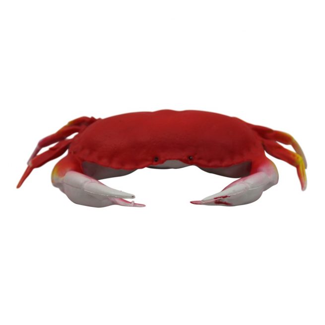 Art Crab XL