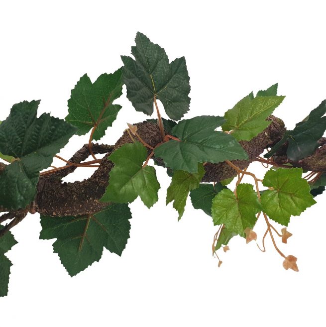 Curly Grape Leaf 175cm