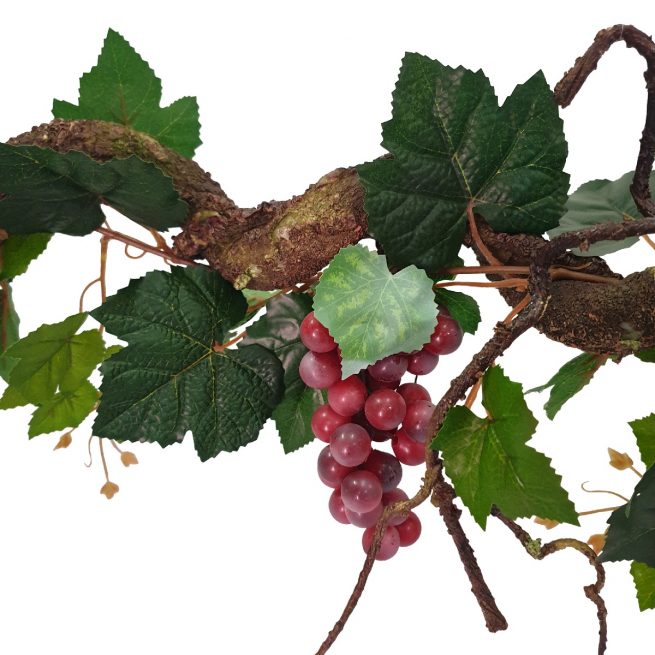 Curly Red Grapes 175cm