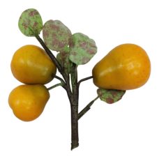Yellow Fake Pear Branch