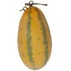 Long Ornamental Melon