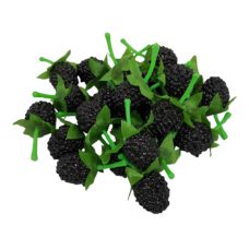 Fake Blackberries
