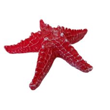 Fake Starfish Small