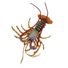 Fake Spiny Lobster Colored