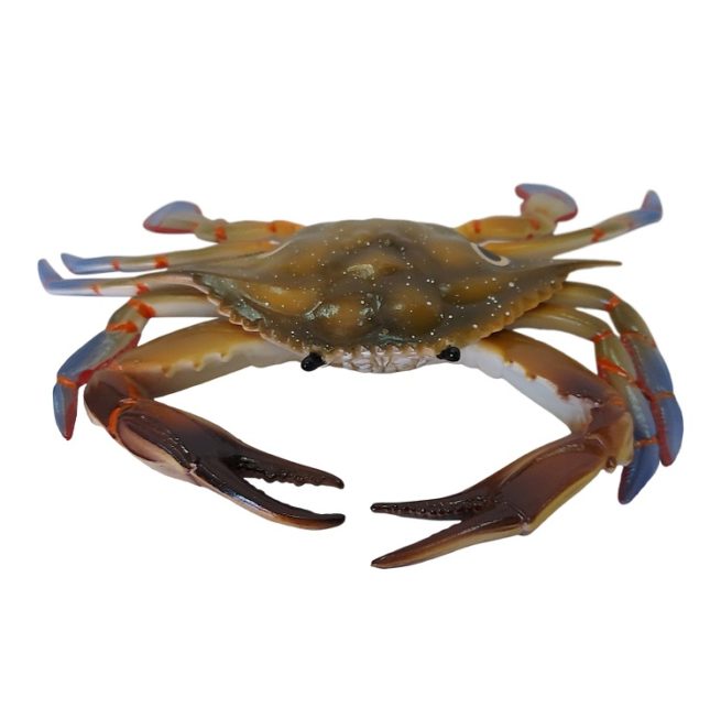 Colored Fake Crab