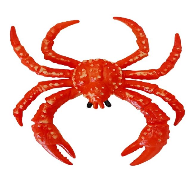 Small Fake Spider Crab