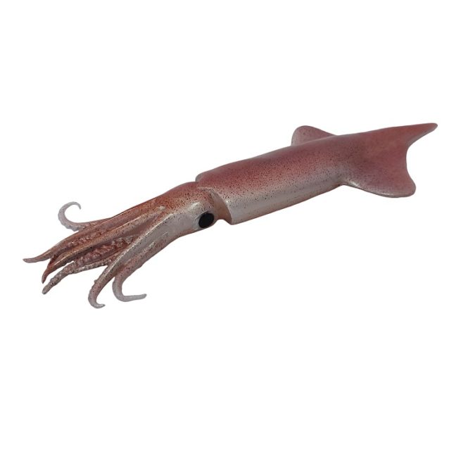 Fake Arrow Squid Large