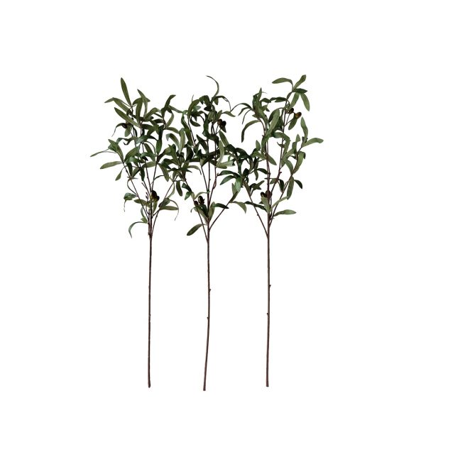 Fake Olive Branches