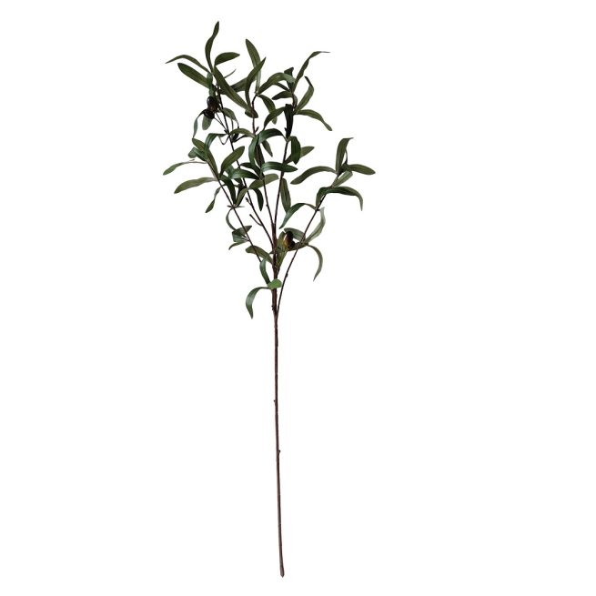 Fake Olive Branches