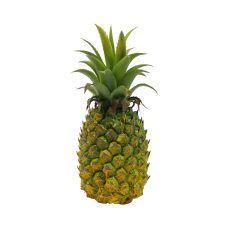 Nep Ananas Middel Groen
