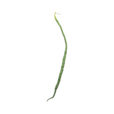 XL kunstboon 80cm groen voor decoratie