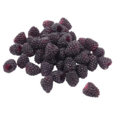 Nep bramen voor showkeukens – 25 levensechte kunst bramen in diep donkerpaars | Decofoodshop.nl