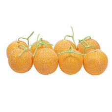 Kunst Meloen Geel Familie Kunst meloen voor educatie | 15 cm levensechte meloen dummy voor spellen | Decofoodshop.nl