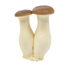 Kunst paddestoelen shiitake | 13 cm levensechte nep shiitake paddestoel set | Decofoodshop.nl