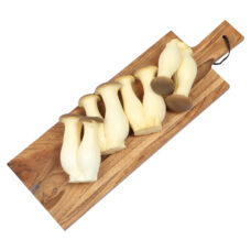 Kunst Paddestoelen Shiitake Snijplank Decoratieve nep paddestoel shiitake | 13 cm namaak shiitake voor showrooms en vitrines | Decofoodshop.nl