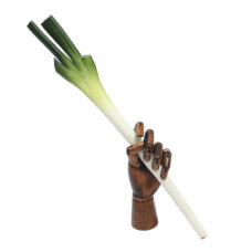 Kunst Prei Kunst prei voor vitrines – Levensechte nepgroente 48cm | Decofoodshop.nl