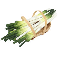 Kunst prei voor vitrines – Levensechte nepgroente 48cm | Decofoodshop.nl